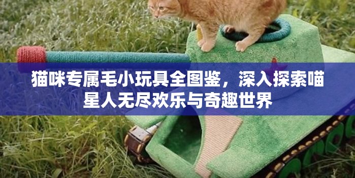 猫咪专属毛小玩具全图鉴，深入探索喵星人无尽欢乐与奇趣世界