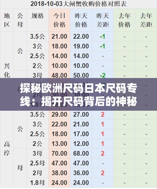 探秘欧洲尺码日本尺码专线：揭开尺码背后的神秘面纱