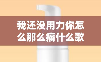 我还没用力你怎么那么痛什么歌：探寻背后的音乐奥秘