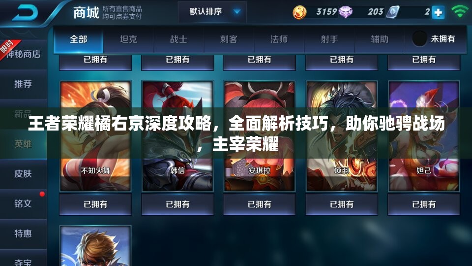 王者荣耀橘右京深度攻略，全面解析技巧，助你驰骋战场，主宰荣耀