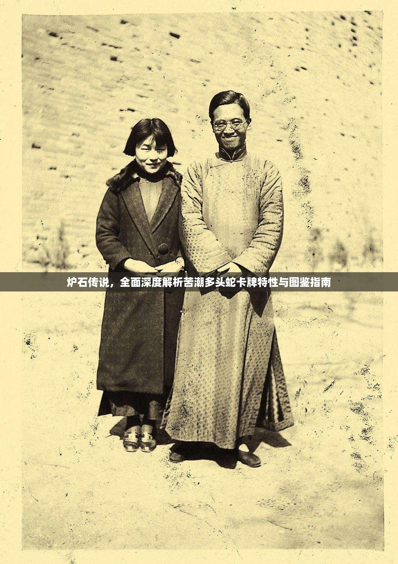 炉石传说，全面深度解析苦潮多头蛇卡牌特性与图鉴指南