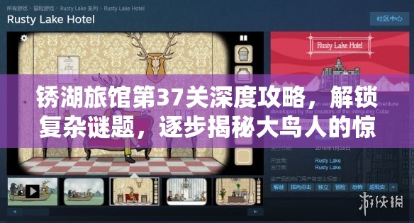 锈湖旅馆第37关深度攻略，解锁复杂谜题，逐步揭秘大鸟人的惊人真相