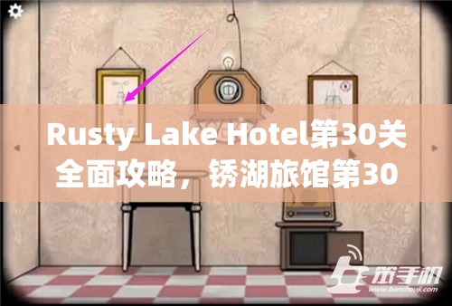 Rusty Lake Hotel第30关全面攻略，锈湖旅馆第30关深度解析与通关步骤