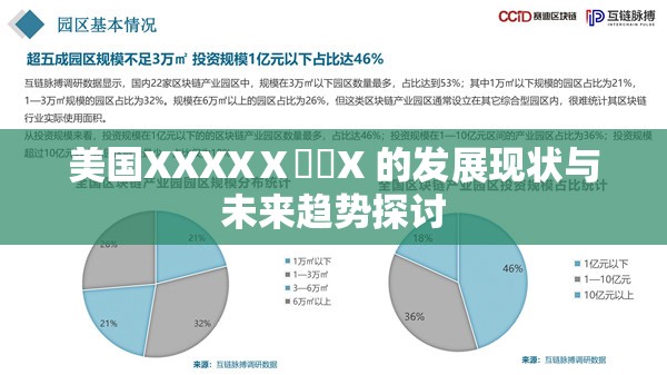 美国XXXXⅩ乂乂X 的发展现状与未来趋势探讨