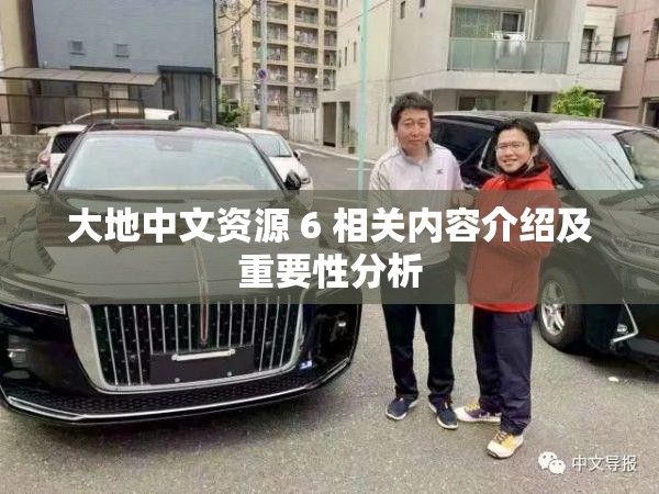 大地中文资源 6 相关内容介绍及重要性分析