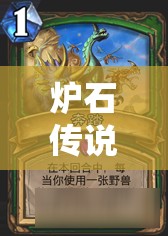 炉石传说宝石鹦鹉图鉴，全面解析资源管理、高效使用策略与价值最大化技巧
