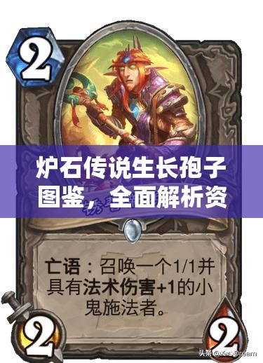 炉石传说生长孢子图鉴，全面解析资源管理、高效利用策略以实现价值最大化