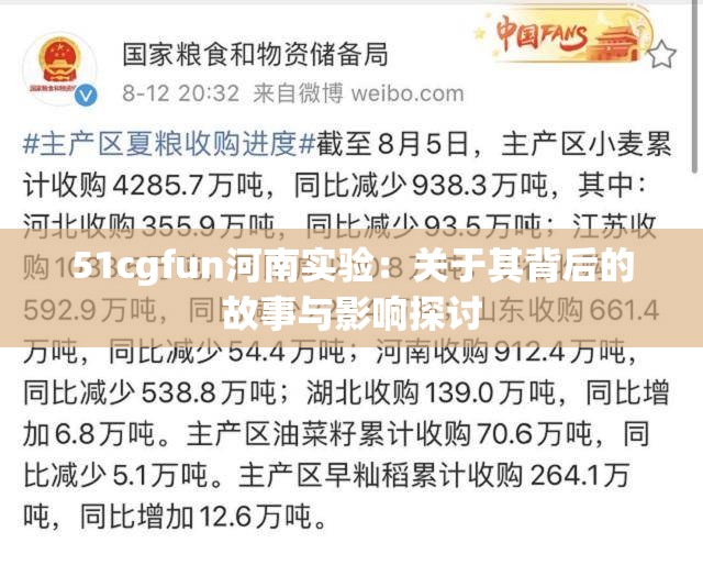 51cgfun河南实验：关于其背后的故事与影响探讨