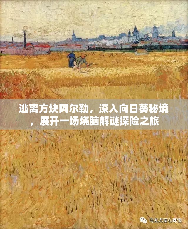 逃离方块阿尔勒，深入向日葵秘境，展开一场烧脑解谜探险之旅