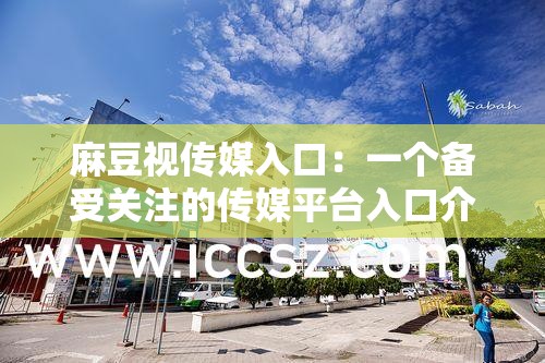 麻豆视传媒入口：一个备受关注的传媒平台入口介绍