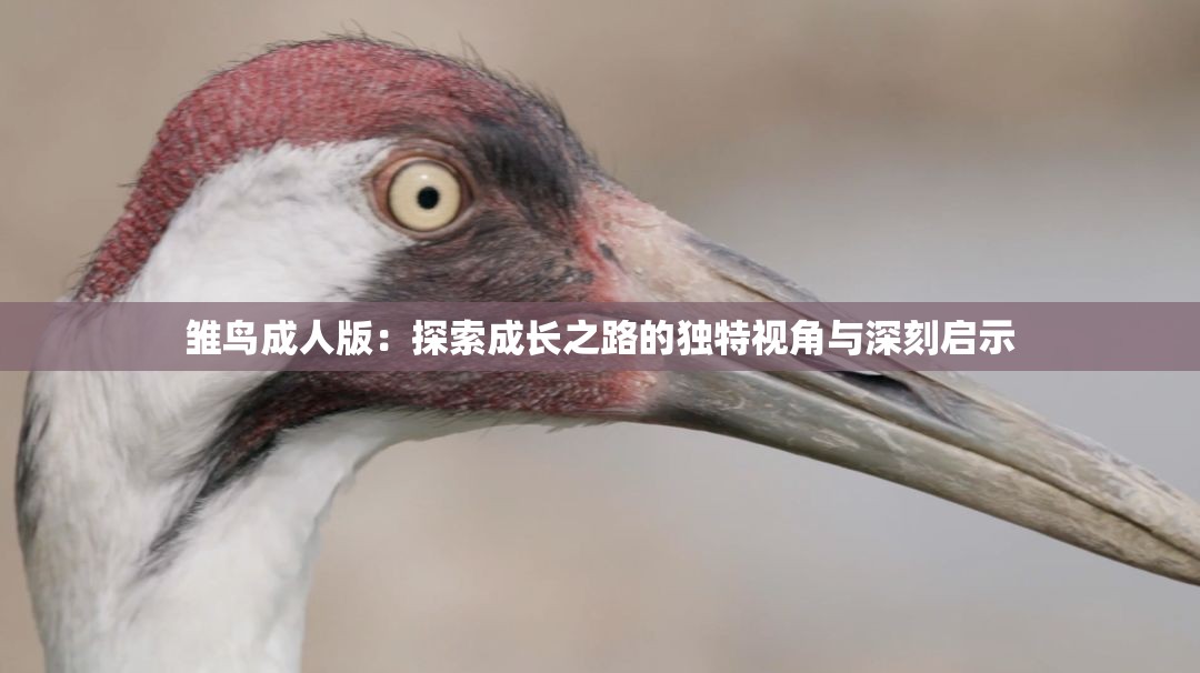 雏鸟成人版：探索成长之路的独特视角与深刻启示