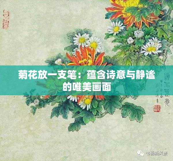 菊花放一支笔：蕴含诗意与静谧的唯美画面