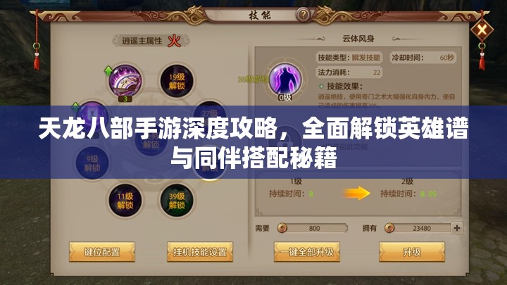 天龙八部手游深度攻略，全面解锁英雄谱与同伴搭配秘籍