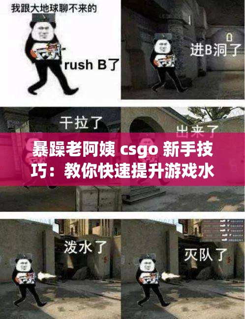 暴躁老阿姨 csgo 新手技巧：教你快速提升游戏水平