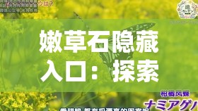 嫩草石隐藏入口：探索其背后的神秘世界与奇妙之处