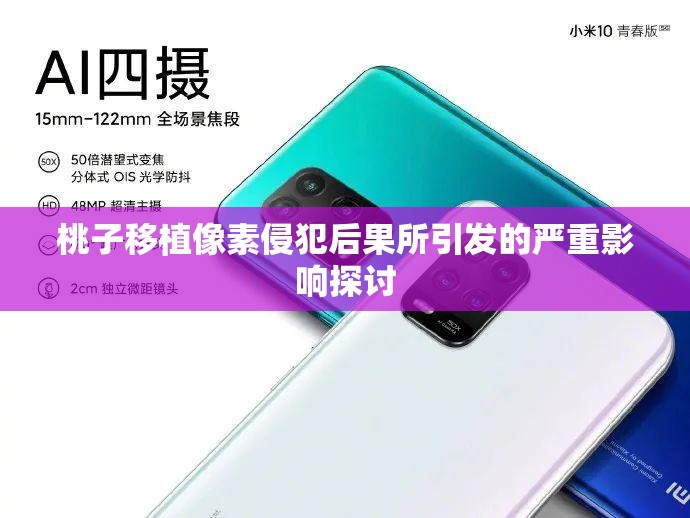 桃子移植像素侵犯后果所引发的严重影响探讨