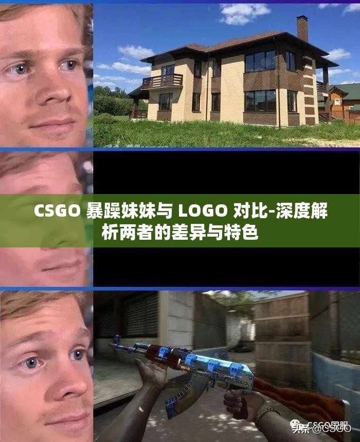 CSGO 暴躁妹妹与 LOGO 对比-深度解析两者的差异与特色