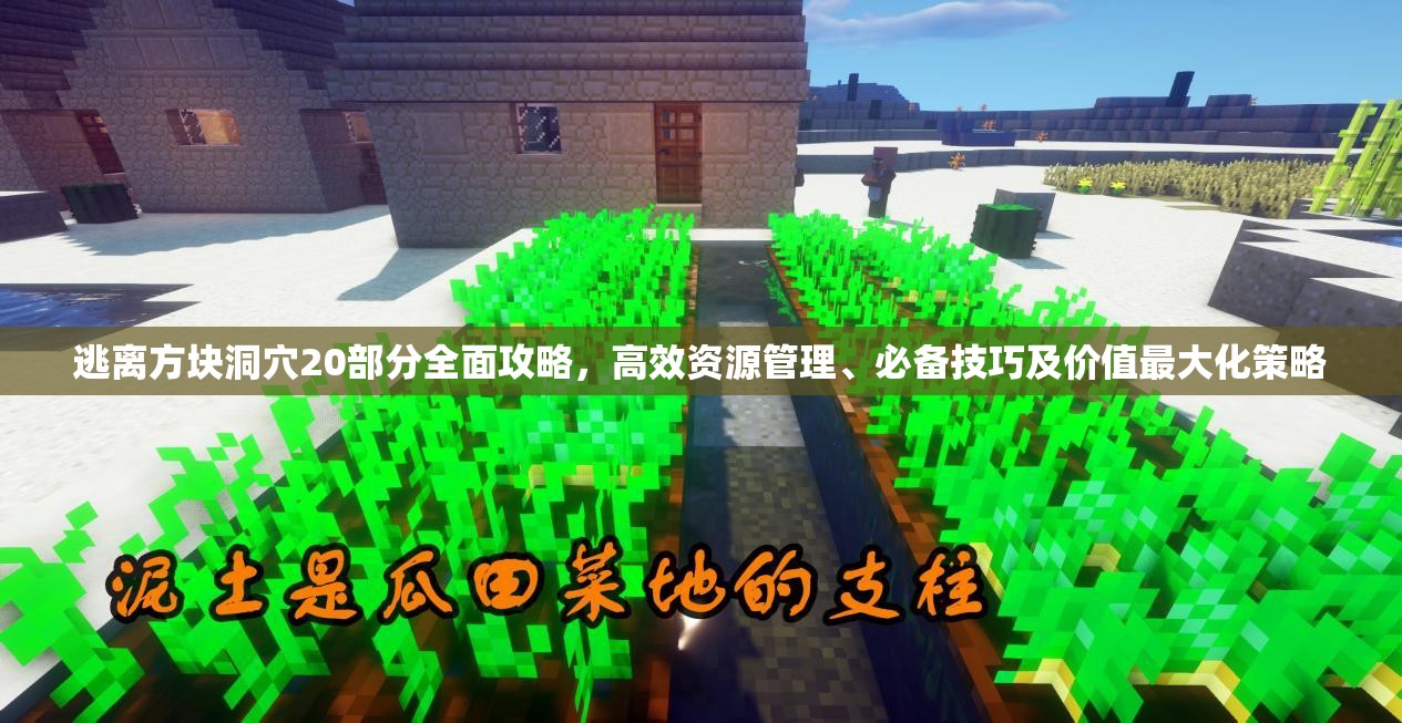 逃离方块洞穴20部分全面攻略，高效资源管理、必备技巧及价值最大化策略