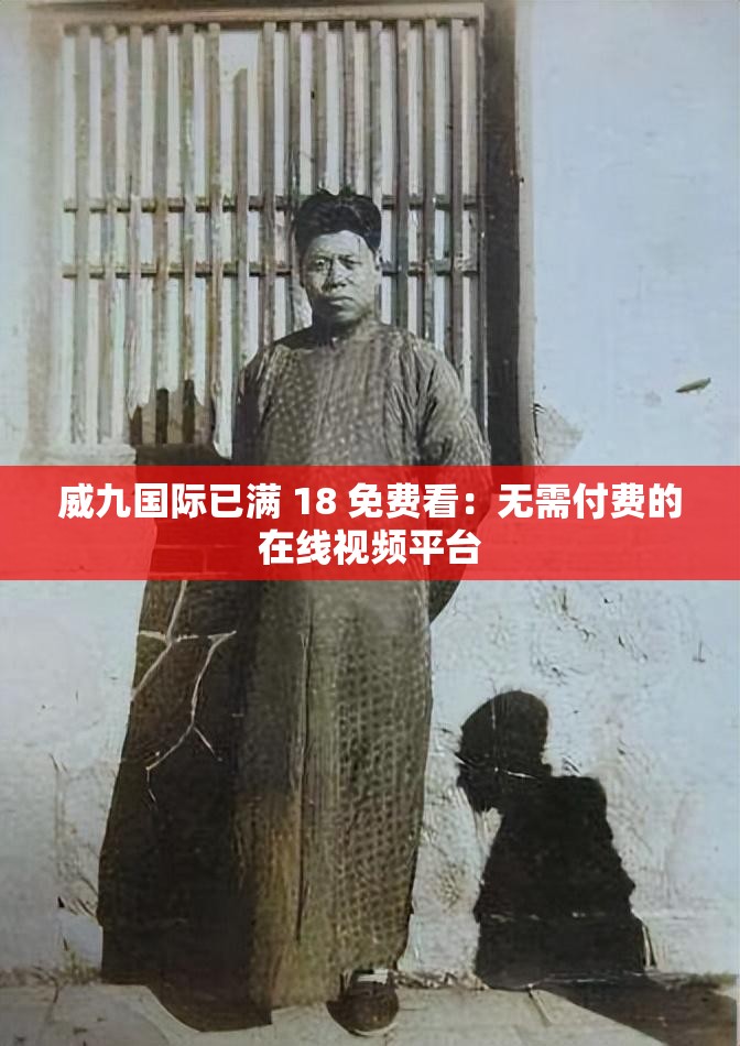 威九国际已满 18 免费看：无需付费的在线视频平台