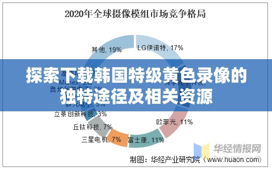 探索下载韩国特级黄色录像的独特途径及相关资源
