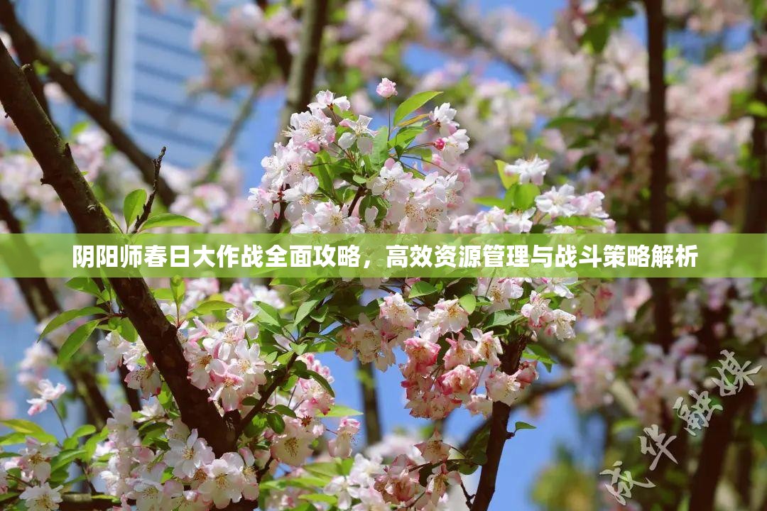 阴阳师春日大作战全面攻略，高效资源管理与战斗策略解析