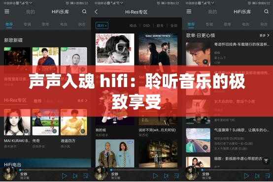 声声入魂 hifi：聆听音乐的极致享受