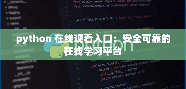 python 在线观看入口：安全可靠的在线学习平台