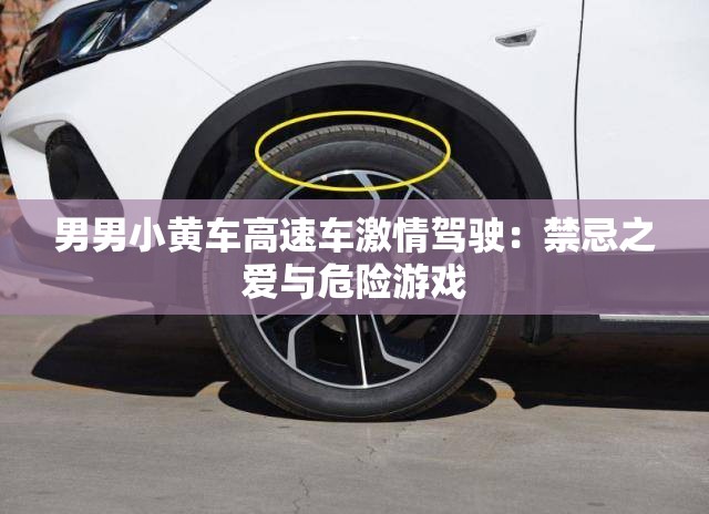 男男小黄车高速车激情驾驶：禁忌之爱与危险游戏