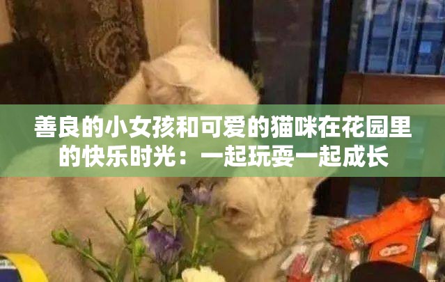 善良的小女孩和可爱的猫咪在花园里的快乐时光：一起玩耍一起成长