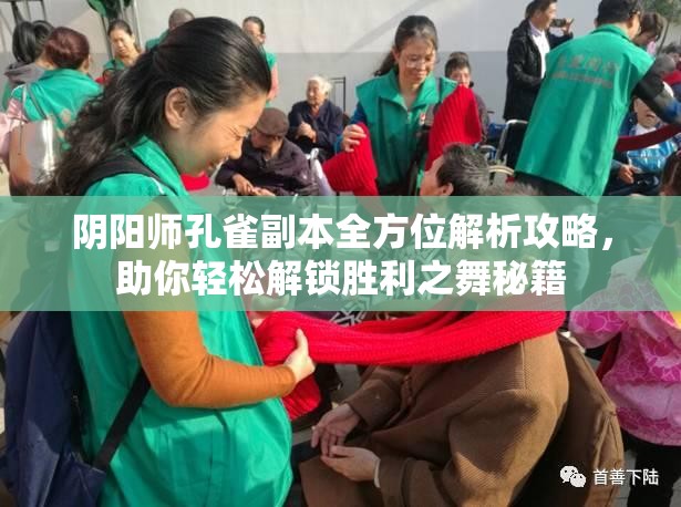 阴阳师孔雀副本全方位解析攻略，助你轻松解锁胜利之舞秘籍