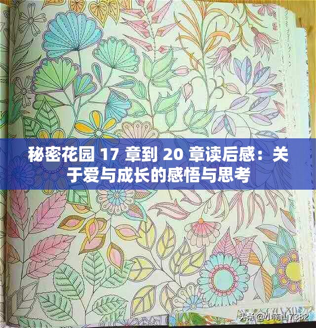 秘密花园 17 章到 20 章读后感：关于爱与成长的感悟与思考