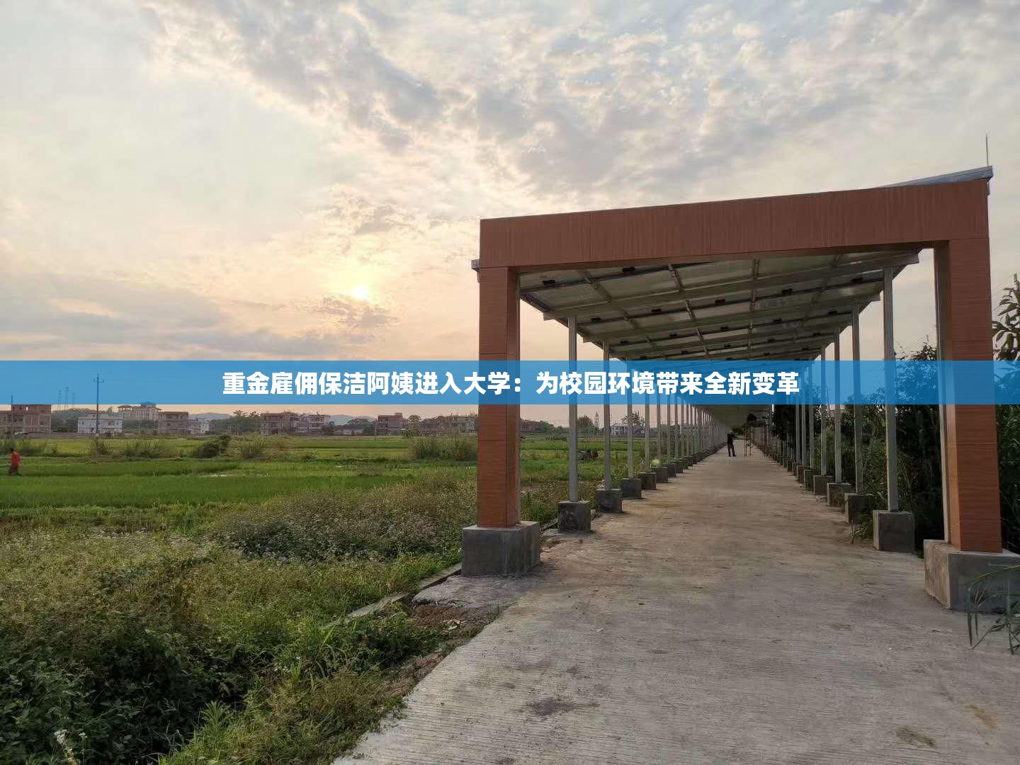重金雇佣保洁阿姨进入大学：为校园环境带来全新变革