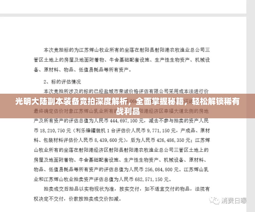 光明大陆副本装备竞拍深度解析，全面掌握秘籍，轻松解锁稀有战利品