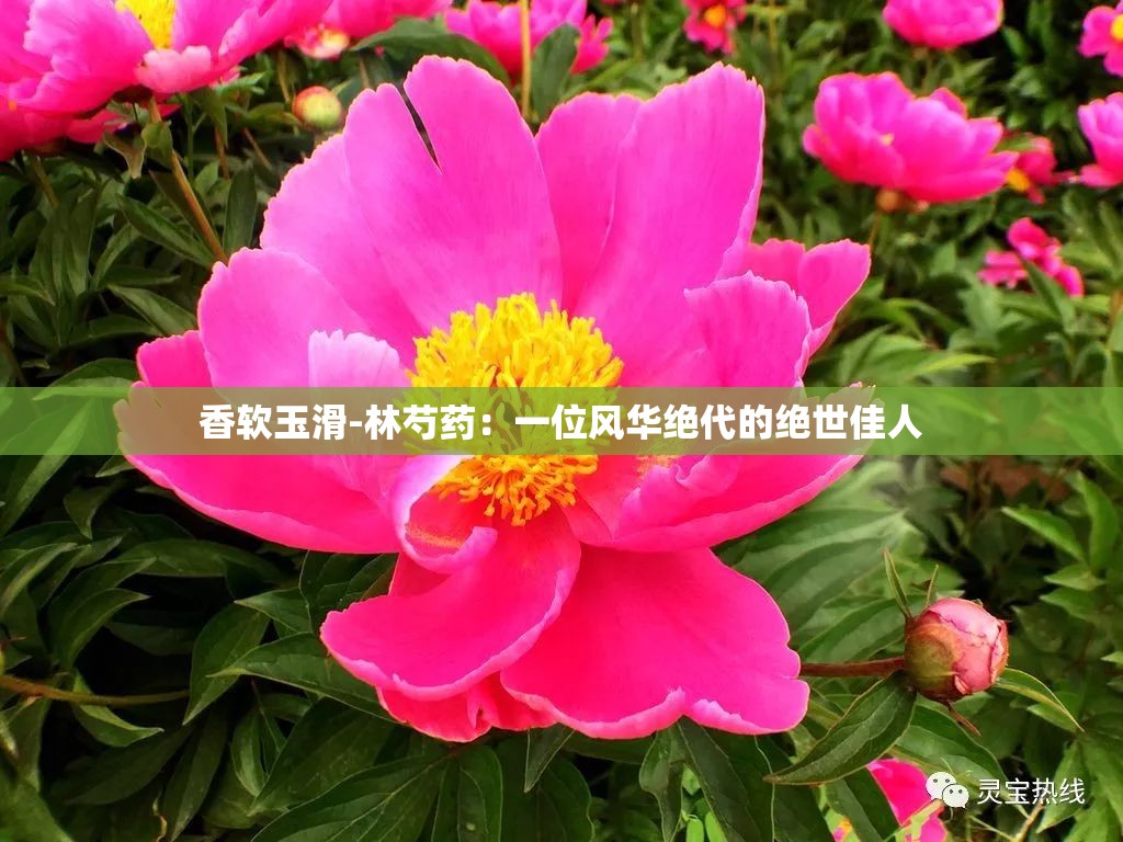 香软玉滑-林芍药：一位风华绝代的绝世佳人