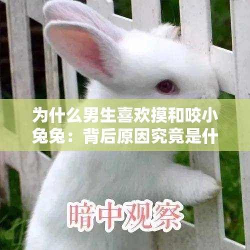 为什么男生喜欢摸和咬小兔兔：背后原因究竟是什么