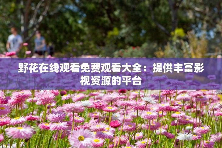 野花在线观看免费观看大全：提供丰富影视资源的平台