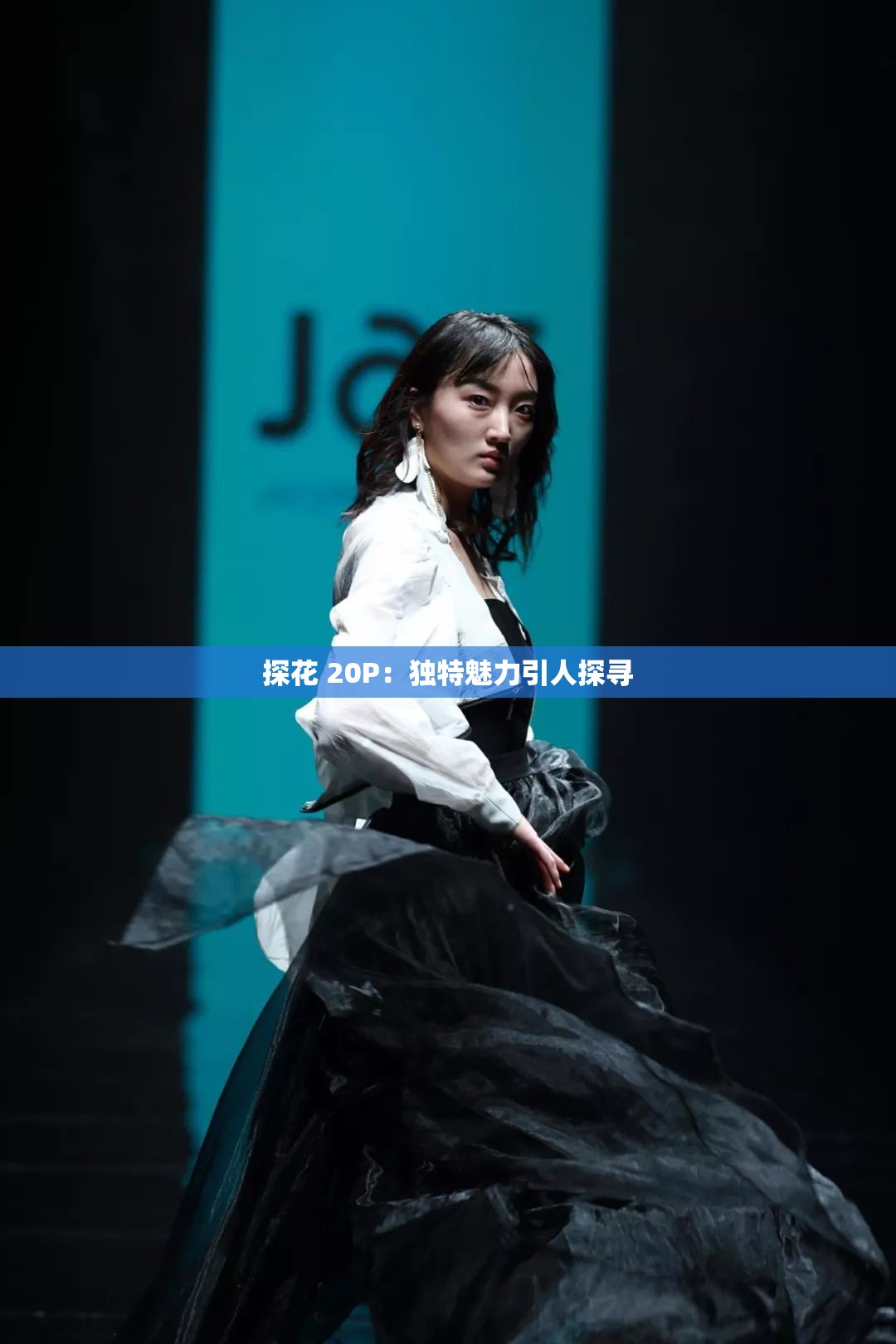 探花 20P：独特魅力引人探寻