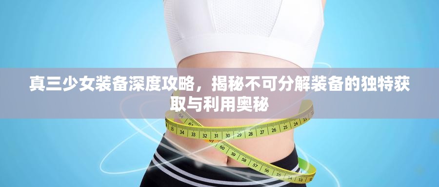 真三少女装备深度攻略，揭秘不可分解装备的独特获取与利用奥秘