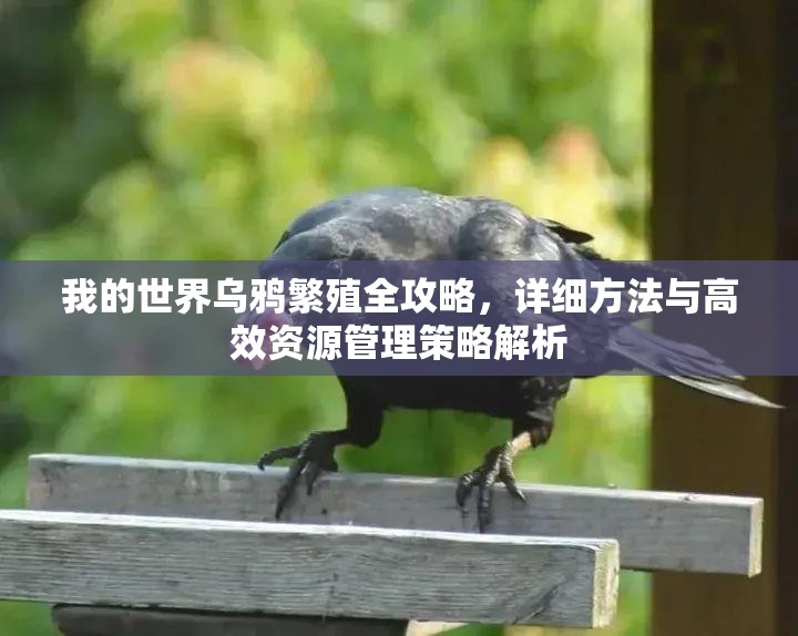 我的世界乌鸦繁殖全攻略，详细方法与高效资源管理策略解析