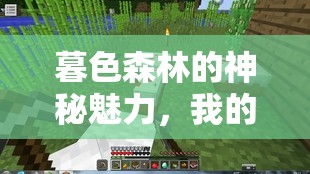 暮色森林的神秘魅力，我的世界暮色野鹿喂养技巧与生存指南全揭秘