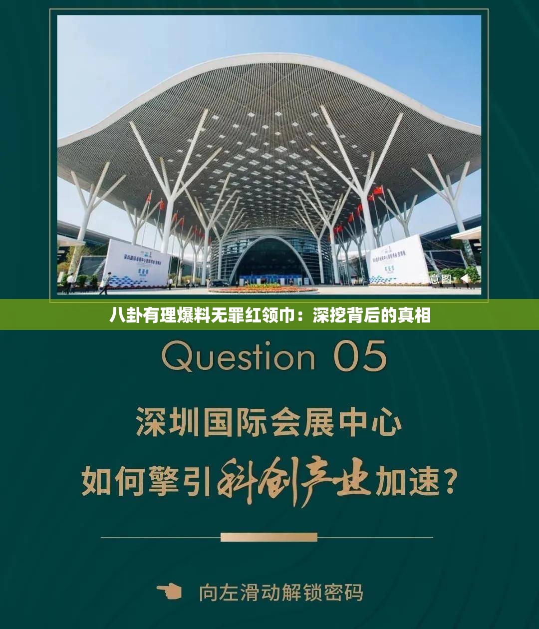 八卦有理爆料无罪红领巾：深挖背后的真相