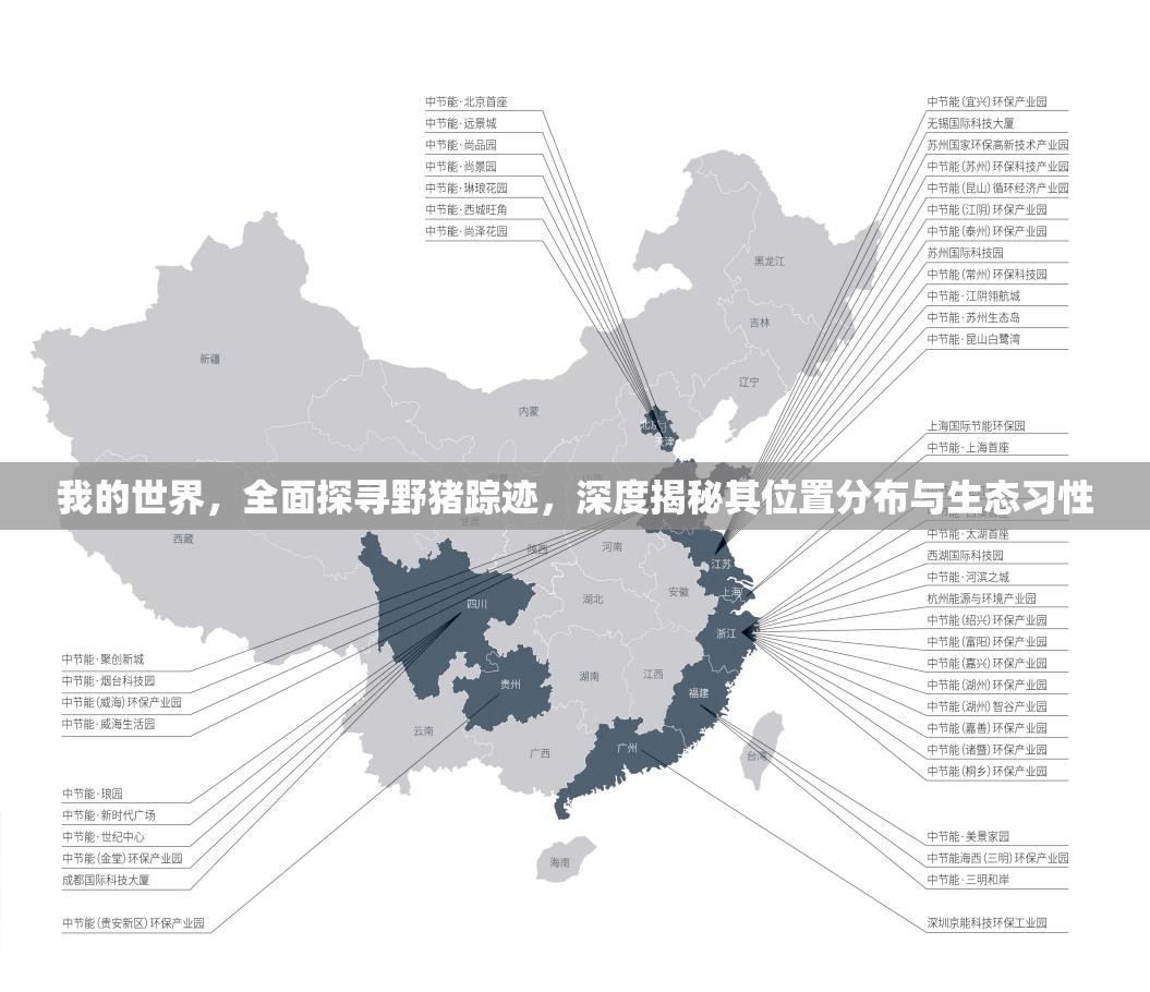 我的世界，全面探寻野猪踪迹，深度揭秘其位置分布与生态习性