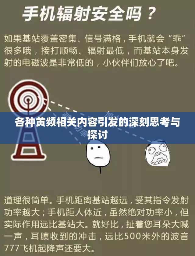 各种黄频相关内容引发的深刻思考与探讨