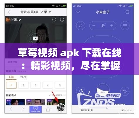 草莓视频 apk 下载在线：精彩视频，尽在掌握