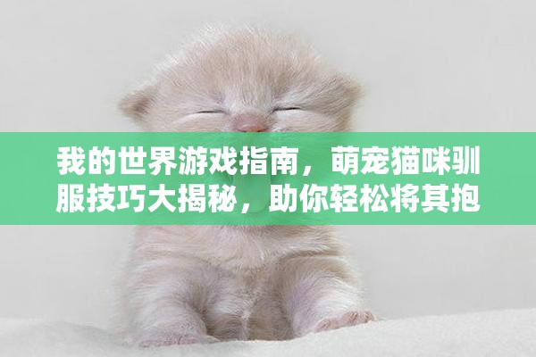 我的世界游戏指南，萌宠猫咪驯服技巧大揭秘，助你轻松将其抱回家！