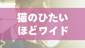 猫のひたいほどワイド主题曲：一首令人陶醉的经典旋律