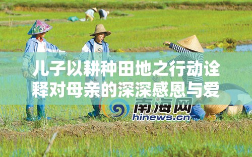 儿子以耕种田地之行动诠释对母亲的深深感恩与爱