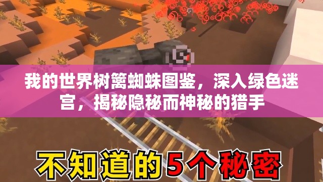 我的世界树篱蜘蛛图鉴，深入绿色迷宫，揭秘隐秘而神秘的猎手