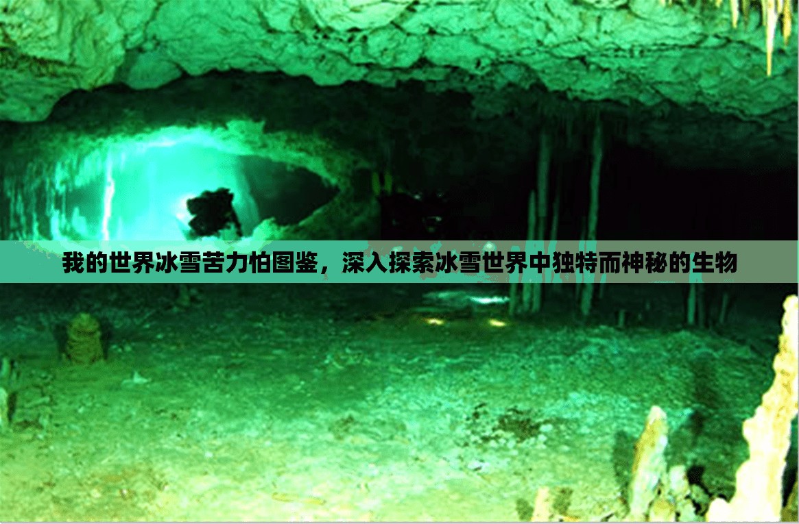 我的世界冰雪苦力怕图鉴，深入探索冰雪世界中独特而神秘的生物