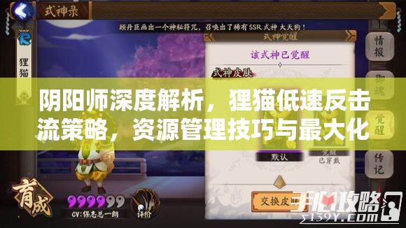 阴阳师深度解析，狸猫低速反击流策略，资源管理技巧与最大化战斗价值
